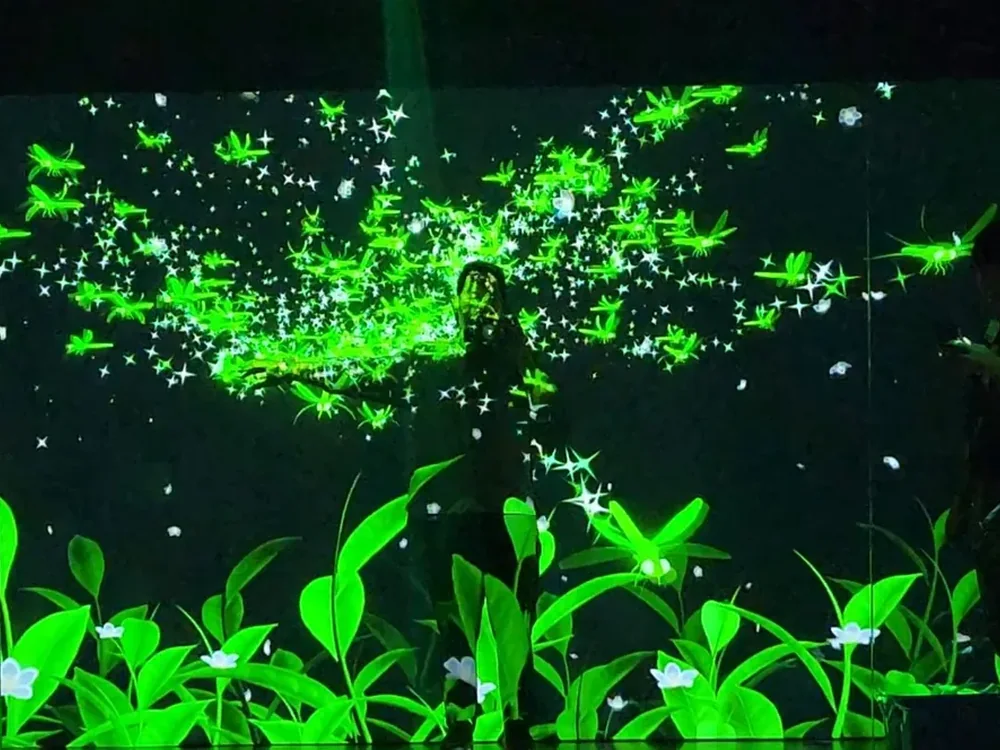Butterfly projections filling the immersive room at Tanland